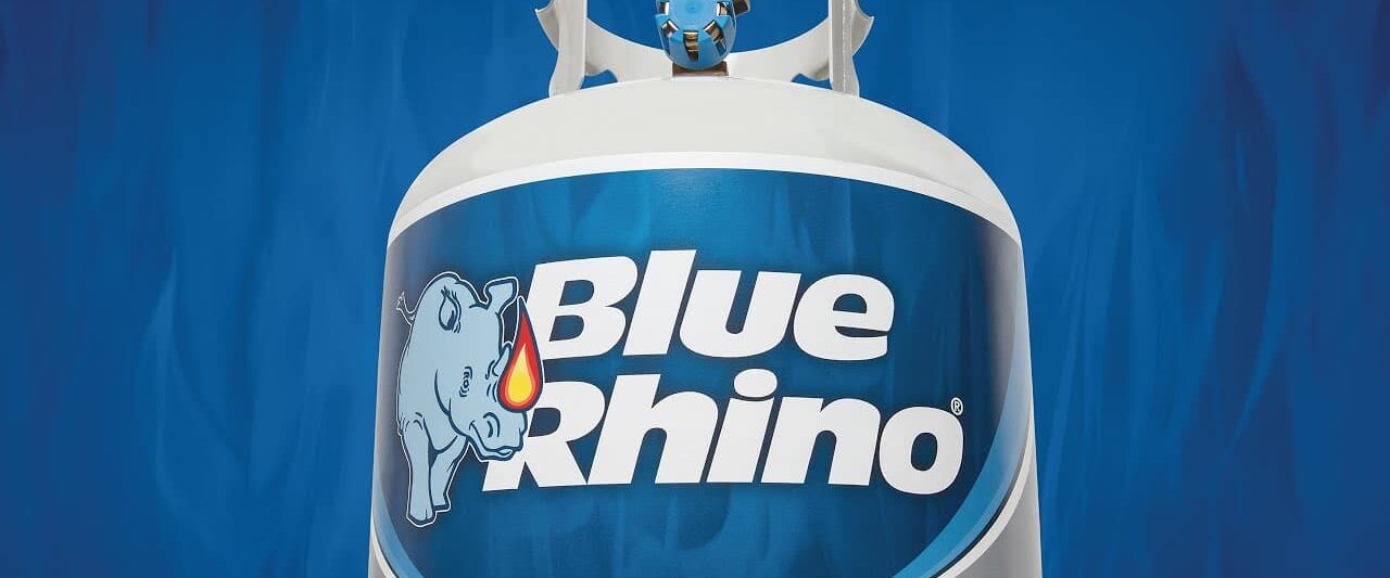 Blue Rhino Offer